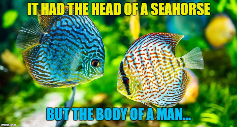 IT HAD THE HEAD OF A SEAHORSE BUT THE BODY OF A MAN... | made w/ Imgflip meme maker