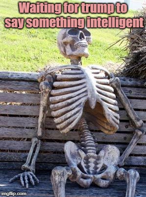 Waiting Skeleton | Waiting for trump to say something intelligent | image tagged in memes,waiting skeleton | made w/ Imgflip meme maker