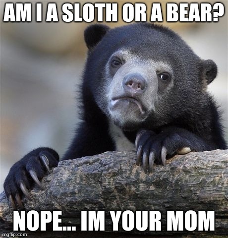 Confession Bear | AM I A SLOTH OR A BEAR? NOPE... IM YOUR MOM | image tagged in memes,confession bear | made w/ Imgflip meme maker