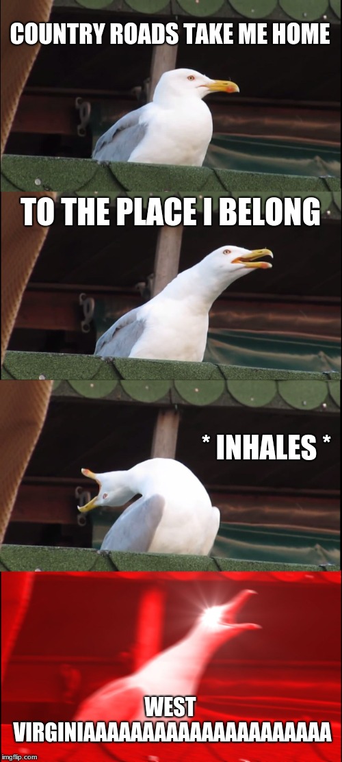 west virginia | COUNTRY ROADS TAKE ME HOME; TO THE PLACE I BELONG; * INHALES *; WEST VIRGINIAAAAAAAAAAAAAAAAAAAAA | image tagged in memes,inhaling seagull | made w/ Imgflip meme maker