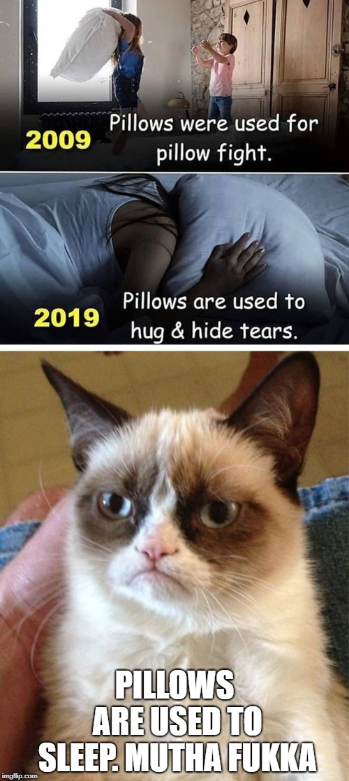 10 Year Challenge | PILLOWS ARE USED TO SLEEP. MUTHA FUKKA | image tagged in memes,grumpy cat,funny,bad luck brian | made w/ Imgflip meme maker