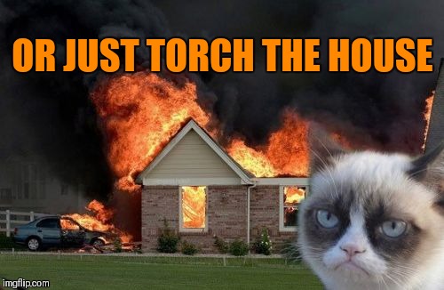 Burn Kitty Meme | OR JUST TORCH THE HOUSE | image tagged in memes,burn kitty,grumpy cat | made w/ Imgflip meme maker