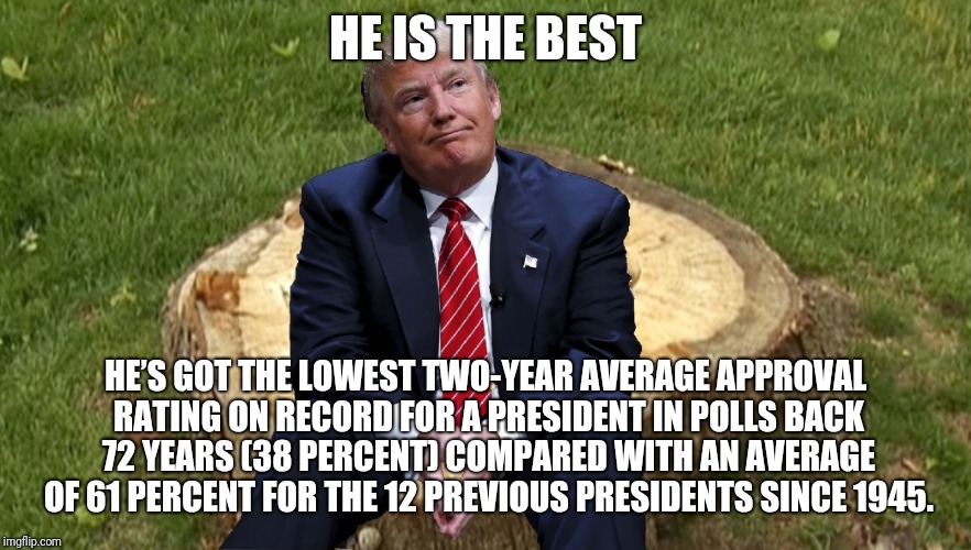 Trump on a stump | HE IS THE BEST; HE’S GOT THE LOWEST TWO-YEAR AVERAGE APPROVAL RATING ON RECORD FOR A PRESIDENT IN POLLS BACK 72 YEARS (38 PERCENT) COMPARED WITH AN AVERAGE OF 61 PERCENT FOR THE 12 PREVIOUS PRESIDENTS SINCE 1945. | image tagged in trump on a stump | made w/ Imgflip meme maker