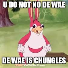 Ugandan chungles | U DO NOT NO DE WAE; DE WAE IS CHUNGLES | image tagged in ugandan chungles | made w/ Imgflip meme maker