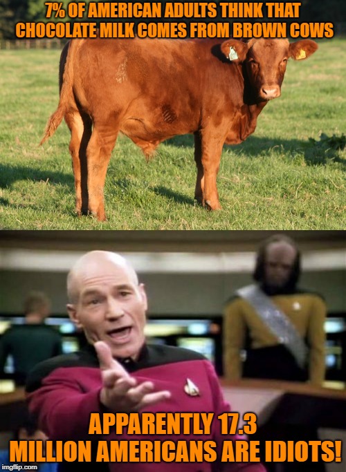 7% OF AMERICAN ADULTS THINK THAT CHOCOLATE MILK COMES FROM BROWN COWS; APPARENTLY 17.3 MILLION AMERICANS ARE IDIOTS! | image tagged in memes,picard wtf,brown cow | made w/ Imgflip meme maker