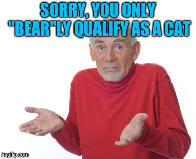 Old Man Shrugging | SORRY, YOU ONLY "BEAR"LY QUALIFY AS A CAT | image tagged in old man shrugging | made w/ Imgflip meme maker