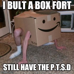 Amazon Box Guy | I BULT A BOX FORT; STILL HAVE THE P.T.S.D | image tagged in amazon box guy | made w/ Imgflip meme maker