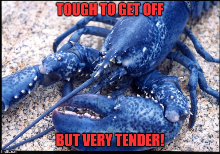 TOUGH TO GET OFF BUT VERY TENDER! | made w/ Imgflip meme maker