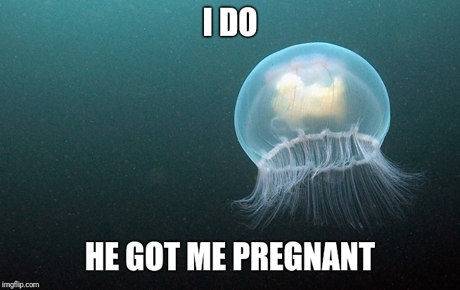 I DO HE GOT ME PREGNANT | made w/ Imgflip meme maker