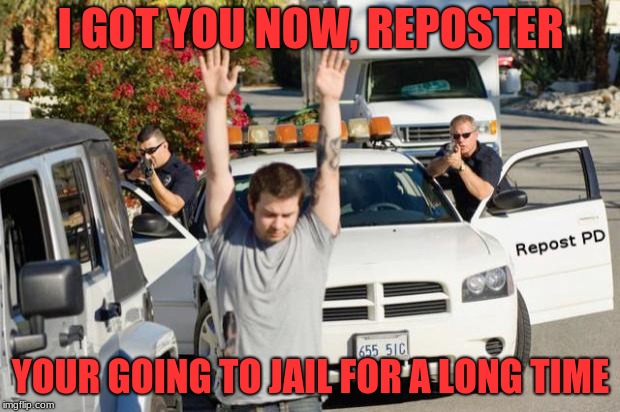 Repost Police | I GOT YOU NOW, REPOSTER YOUR GOING TO JAIL FOR A LONG TIME | image tagged in repost police | made w/ Imgflip meme maker