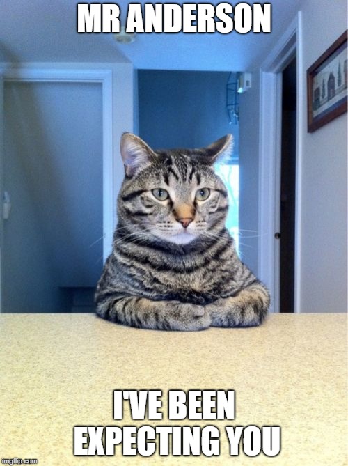 matrix cat | MR ANDERSON; I'VE BEEN EXPECTING YOU | image tagged in memes,take a seat cat | made w/ Imgflip meme maker