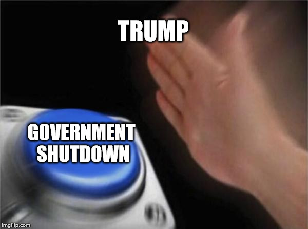 Blank Nut Button Meme | TRUMP; GOVERNMENT SHUTDOWN | image tagged in memes,blank nut button | made w/ Imgflip meme maker