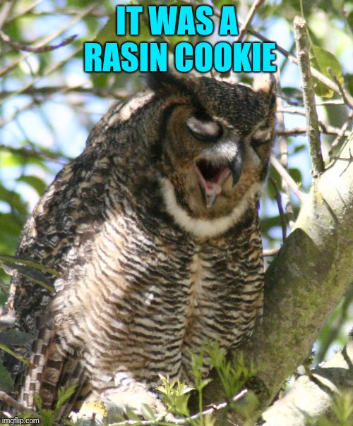 IT WAS A RASIN COOKIE | made w/ Imgflip meme maker