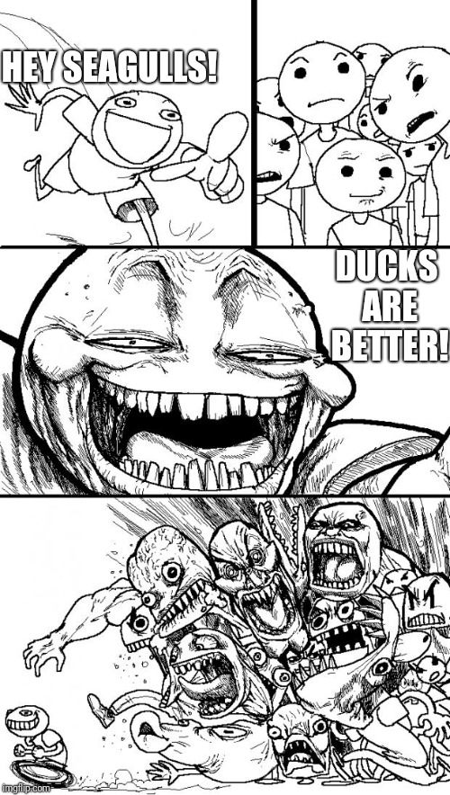 Hey internet rage | HEY SEAGULLS! DUCKS ARE BETTER! | image tagged in hey internet rage | made w/ Imgflip meme maker