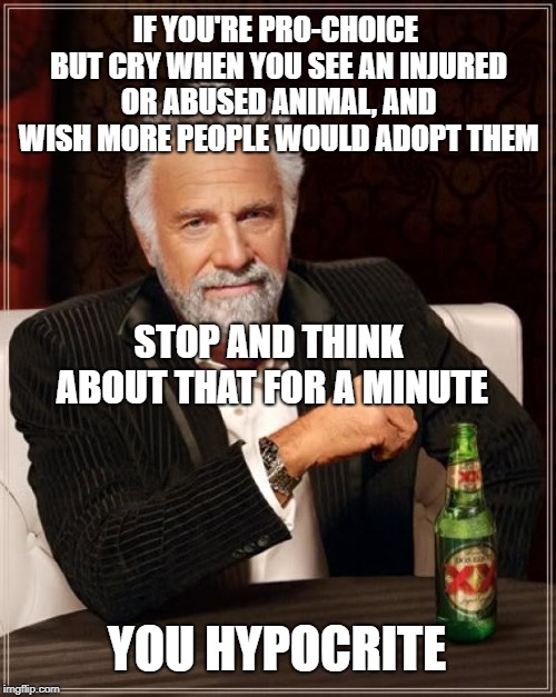 exactly | IF YOU'RE PRO-CHOICE BUT CRY WHEN YOU SEE AN INJURED OR ABUSED ANIMAL, AND WISH MORE PEOPLE WOULD ADOPT THEM; STOP AND THINK ABOUT THAT FOR A MINUTE; YOU HYPOCRITE | image tagged in memes,the most interesting man in the world,pro choice,animal rights,abortion,adoption | made w/ Imgflip meme maker