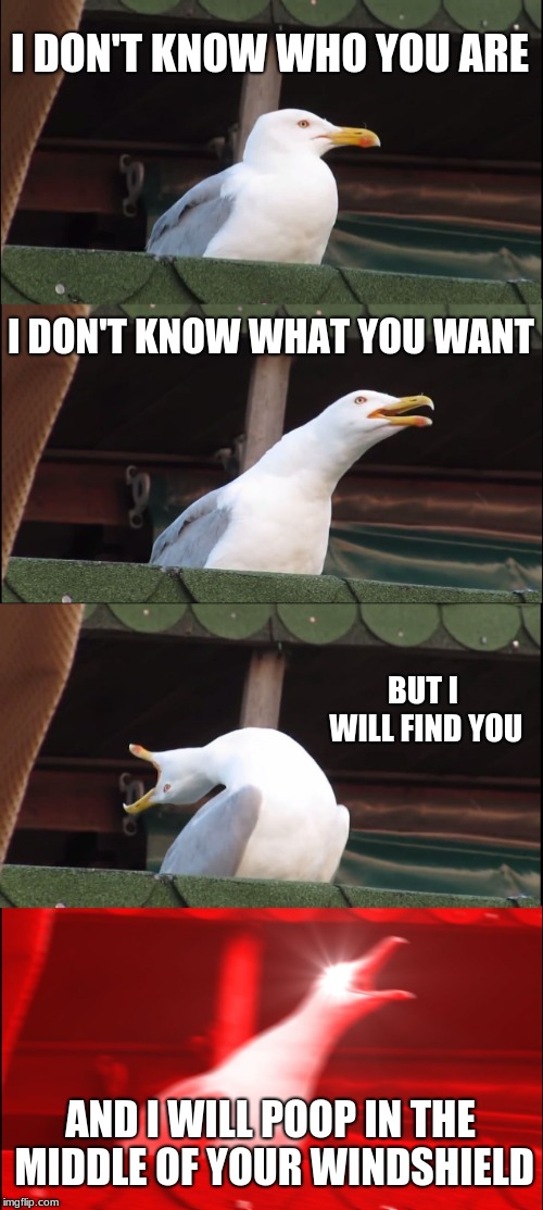 Inhaling Seagull Meme | I DON'T KNOW WHO YOU ARE; I DON'T KNOW WHAT YOU WANT; BUT I WILL FIND YOU; AND I WILL POOP IN THE MIDDLE OF YOUR WINDSHIELD | image tagged in memes,inhaling seagull | made w/ Imgflip meme maker