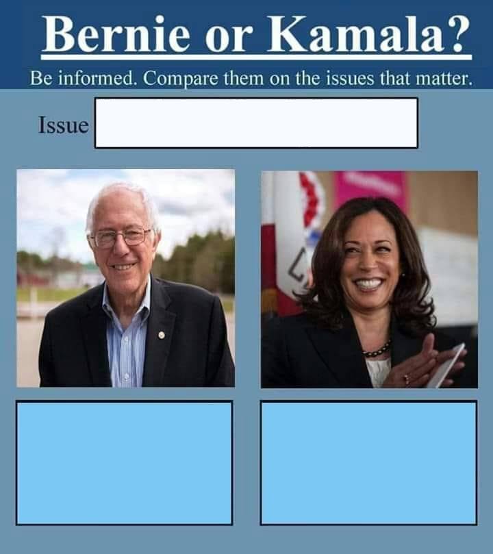 Bernie or Kamala Blank Meme Template