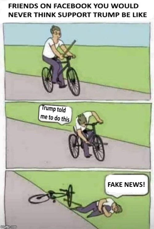image tagged in donald trump | made w/ Imgflip meme maker