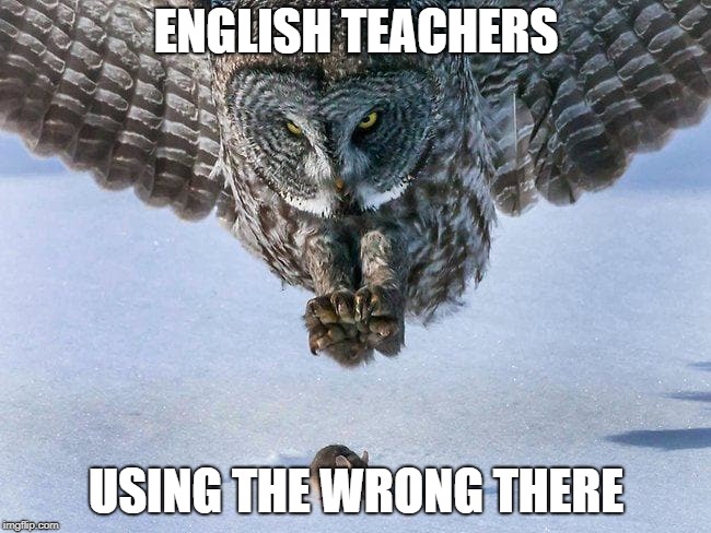 Owl Hunts Mouse | ENGLISH TEACHERS; USING THE WRONG THERE | image tagged in owl hunts mouse,funny,memes,secret tag,english,school | made w/ Imgflip meme maker
