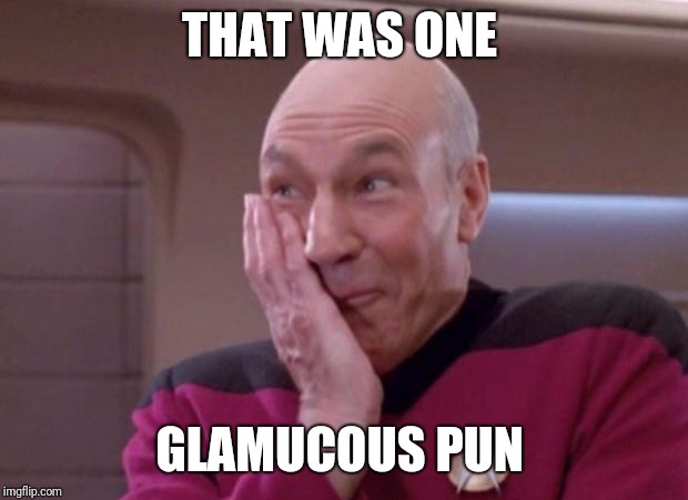 Picard smirk | THAT WAS ONE GLAMUCOUS PUN | image tagged in picard smirk | made w/ Imgflip meme maker