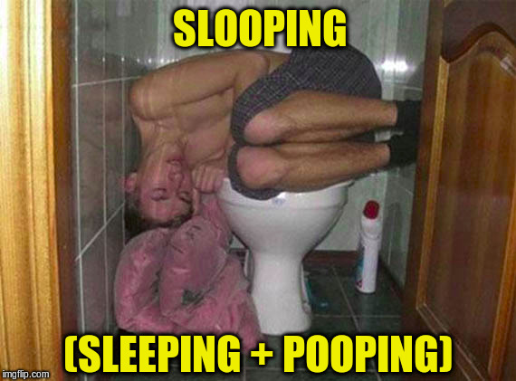 In a sentence: "Last night I was so drunk that I ended up slooping" | SLOOPING; (SLEEPING + POOPING) | image tagged in memes,toilet,sleeping,drunk | made w/ Imgflip meme maker