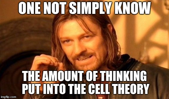 One Does Not Simply Meme | ONE NOT SIMPLY KNOW; THE AMOUNT OF THINKING PUT INTO THE CELL THEORY | image tagged in memes,one does not simply | made w/ Imgflip meme maker