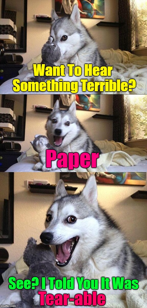 Tʜᴀᴛ’s Jᴜsᴛ Nᴏᴛ Wʀɪᴛᴇ  | Want To Hear Something Terrible? Paper; See? I Told You It Was; Tear-able | image tagged in memes,bad pun dog,bad puns,bad jokes,corny joke | made w/ Imgflip meme maker