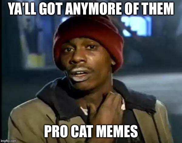 Y'all Got Any More Of That Meme | YA’LL GOT ANYMORE OF THEM PRO CAT MEMES | image tagged in memes,y'all got any more of that | made w/ Imgflip meme maker