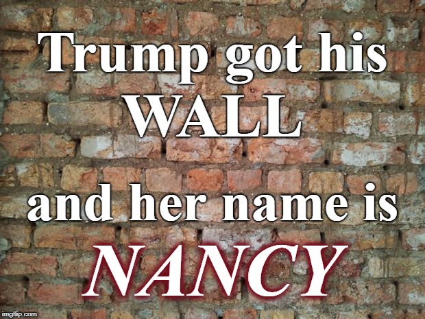 Brick wall | Trump got his; WALL; and her name is; NANCY | image tagged in brick wall | made w/ Imgflip meme maker
