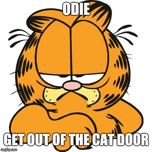 Garfield | ODIE GET OUT OF THE CAT DOOR | image tagged in garfield | made w/ Imgflip meme maker