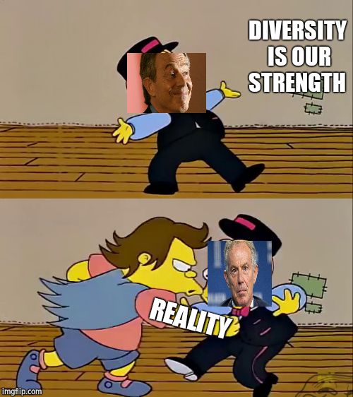 nelson punch martin | DIVERSITY IS OUR STRENGTH REALITY | image tagged in nelson punch martin | made w/ Imgflip meme maker