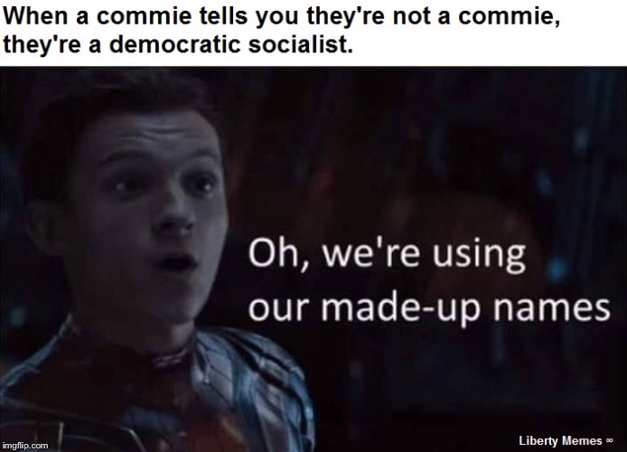 2s9qs0.jpg