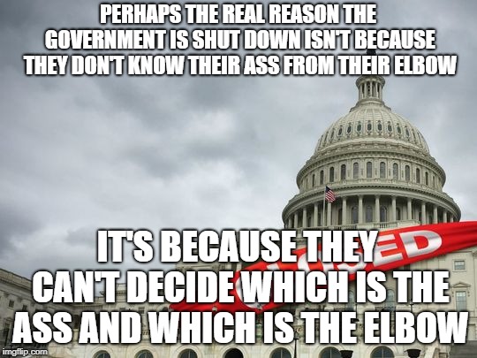 This about sums up the Government | PERHAPS THE REAL REASON THE GOVERNMENT IS SHUT DOWN ISN'T BECAUSE THEY DON'T KNOW THEIR ASS FROM THEIR ELBOW; IT'S BECAUSE THEY CAN'T DECIDE WHICH IS THE ASS AND WHICH IS THE ELBOW | image tagged in government shutdown | made w/ Imgflip meme maker
