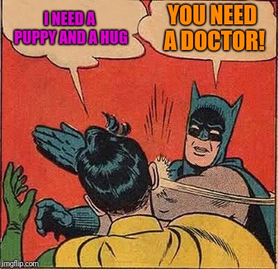 Batman Slapping Robin Meme | I NEED A PUPPY AND A HUG; YOU NEED A DOCTOR! | image tagged in memes,batman slapping robin | made w/ Imgflip meme maker