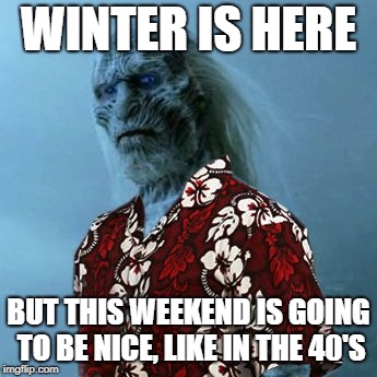 White Walker Hawaiian Shirt | WINTER IS HERE; BUT THIS WEEKEND IS GOING TO BE NICE, LIKE IN THE 40'S | image tagged in white walker hawaiian shirt | made w/ Imgflip meme maker