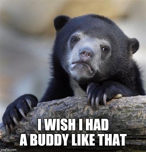 sad bear | I WISH I HAD A BUDDY LIKE THAT | image tagged in sad bear | made w/ Imgflip meme maker