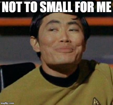 sulu | NOT TO SMALL FOR ME | image tagged in sulu | made w/ Imgflip meme maker