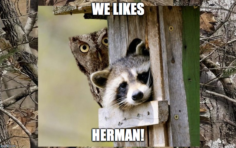 WE LIKES HERMAN! | made w/ Imgflip meme maker