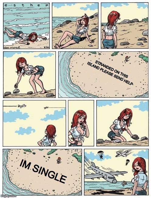 If this wasn't realistic it wouldn't be a meme. | STRANDED ON THIS ISLAND PLEASE SEND HELP; IM SINGLE | image tagged in esther verkest's help sign blank | made w/ Imgflip meme maker