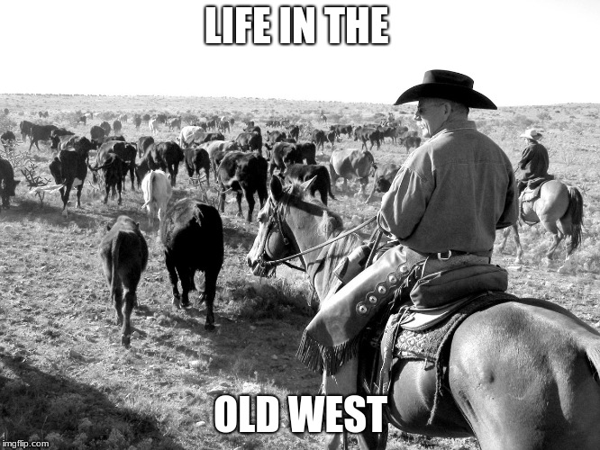 The New South and the New West | LIFE IN THE; OLD WEST | image tagged in western | made w/ Imgflip meme maker