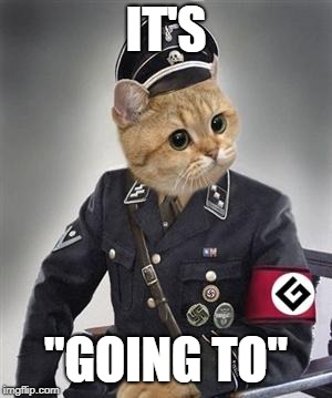 Grammar Nazi Cat | IT'S "GOING TO" | image tagged in grammar nazi cat | made w/ Imgflip meme maker