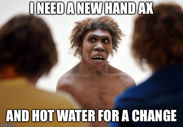 Neanderthal Dafuq | I NEED A NEW HAND AX AND HOT WATER FOR A CHANGE | image tagged in neanderthal dafuq | made w/ Imgflip meme maker