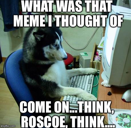 I Have No Idea What I Am Doing Meme | WHAT WAS THAT MEME I THOUGHT OF; COME ON...THINK, ROSCOE, THINK.... | image tagged in memes,i have no idea what i am doing | made w/ Imgflip meme maker