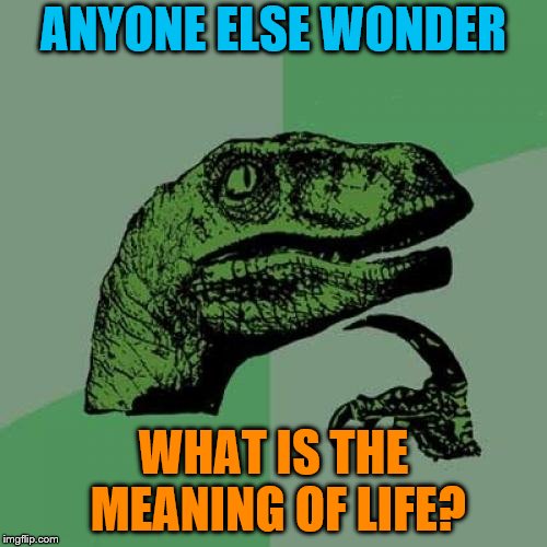 Philosoraptor Meme | ANYONE ELSE WONDER; WHAT IS THE MEANING OF LIFE? | image tagged in memes,philosoraptor | made w/ Imgflip meme maker