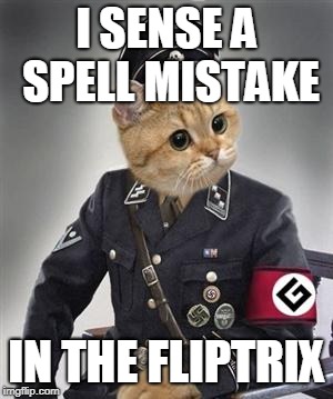 Grammar Nazi Cat | I SENSE A SPELL MISTAKE IN THE FLIPTRIX | image tagged in grammar nazi cat | made w/ Imgflip meme maker