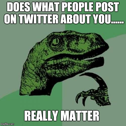 Philosoraptor Meme |  DOES WHAT PEOPLE POST ON TWITTER ABOUT YOU...... REALLY MATTER | image tagged in memes,philosoraptor | made w/ Imgflip meme maker