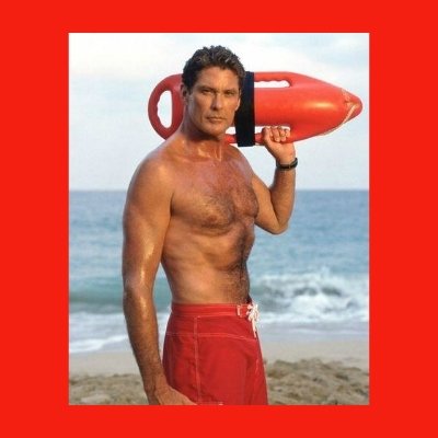 The Hoff Blank Meme Template