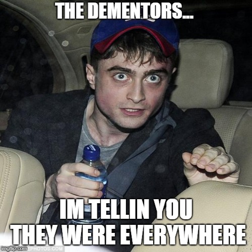 harry potter crazy |  THE DEMENTORS... IM TELLIN YOU THEY WERE EVERYWHERE | image tagged in harry potter crazy | made w/ Imgflip meme maker