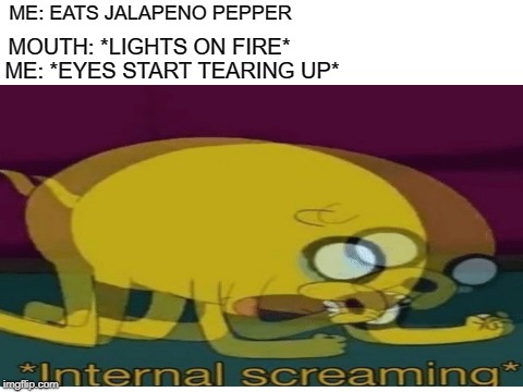 my mouth | ME: EATS JALAPENO PEPPER; MOUTH: *LIGHTS ON FIRE*; ME: *EYES START TEARING UP* | image tagged in memes | made w/ Imgflip meme maker