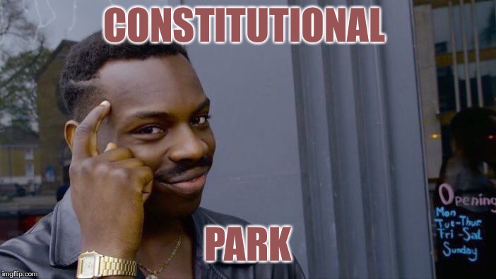Roll Safe Think About It Meme | CONSTITUTIONAL PARK | image tagged in memes,roll safe think about it | made w/ Imgflip meme maker
